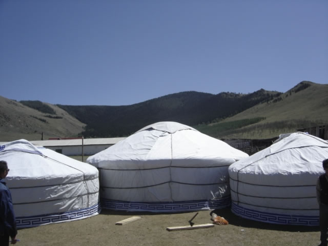 yte mickey avc cover nord JPG