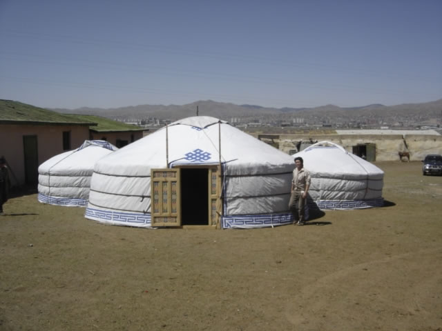 yte mickey avc cover JPG